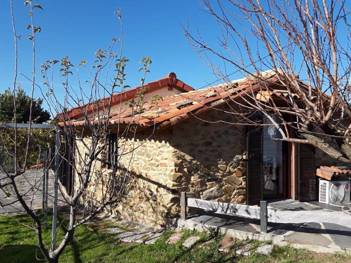 A Casa Do Moinho Apartman Pedrógão Pequeno Kültér fotó